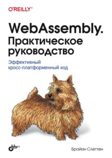 WebAssembly. Практическое руководств