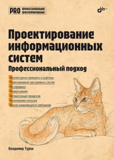 Проектирование информационных систем. Профессиональный подход